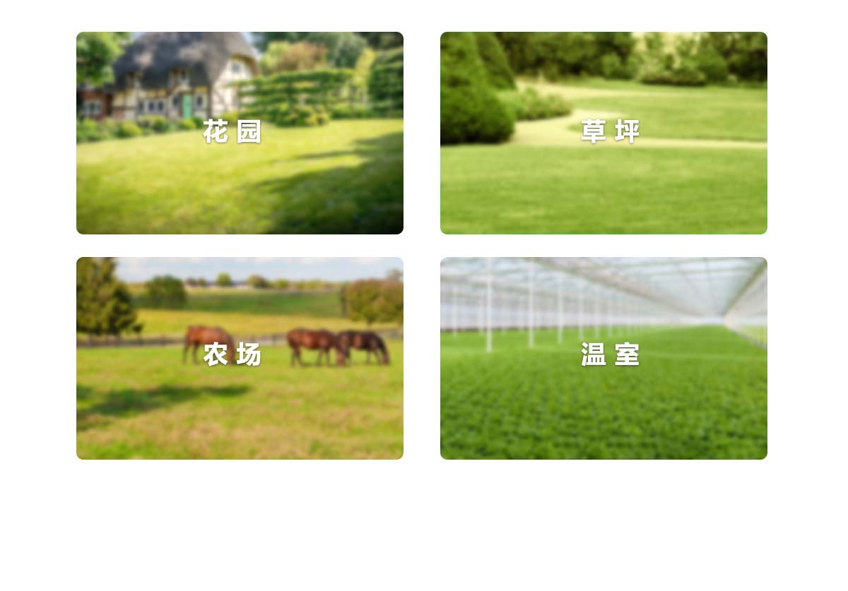 WIFI���ܹ�ȿ�����4·