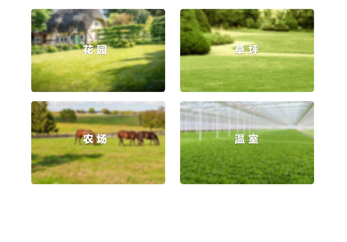 WIFI���ܹ�ȿ�����8·